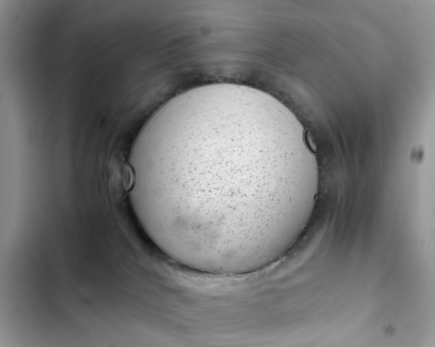 X0000102340040200808151738