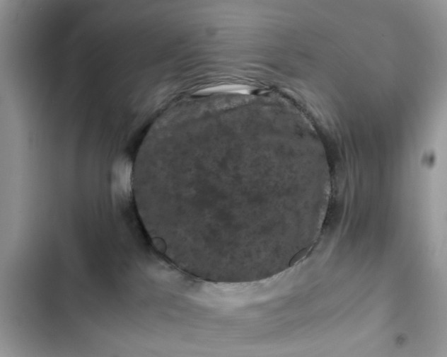 X0000102340041200808151738