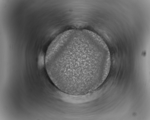 X0000102340042200808151738