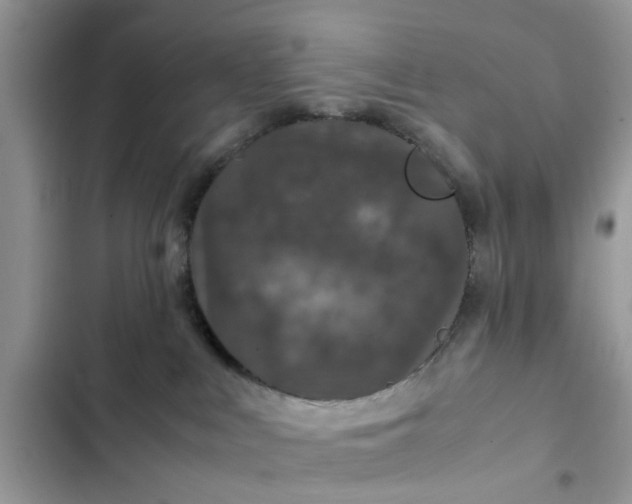 X0000102340043200808151738