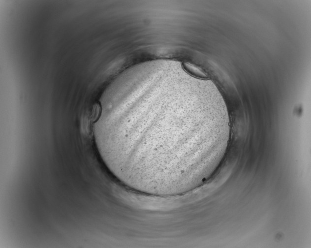 X0000102340044200808151738