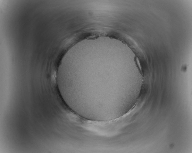 X0000102340045200808151738