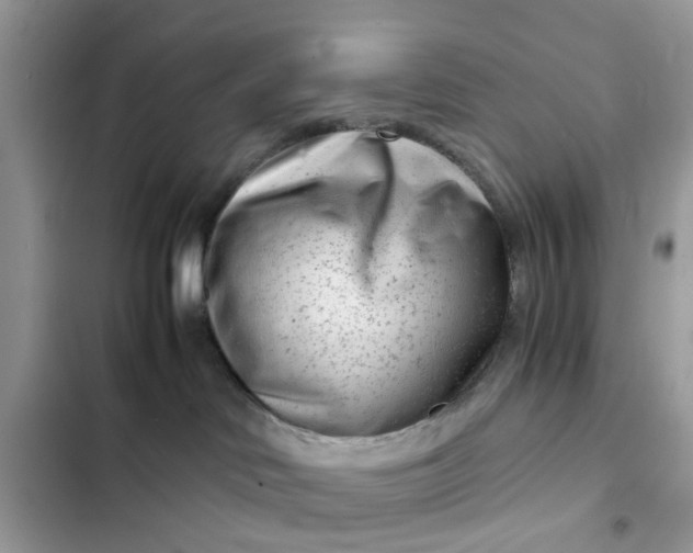 X0000102340046200808151738