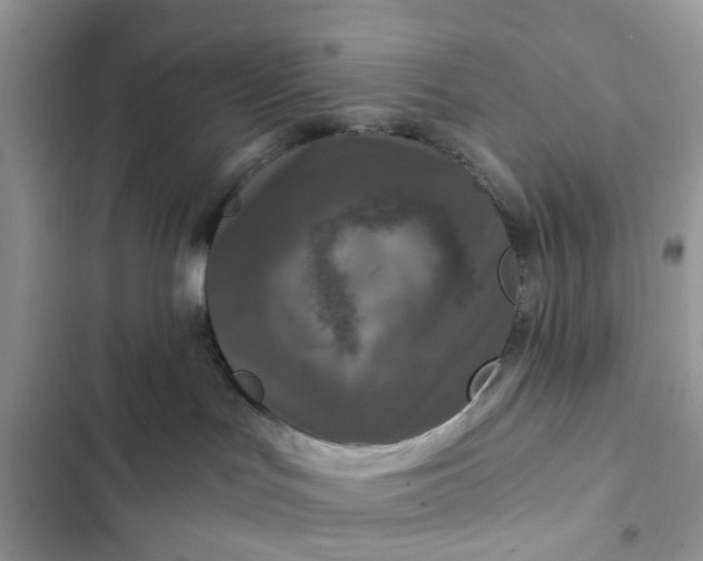 X0000102340047200808151738