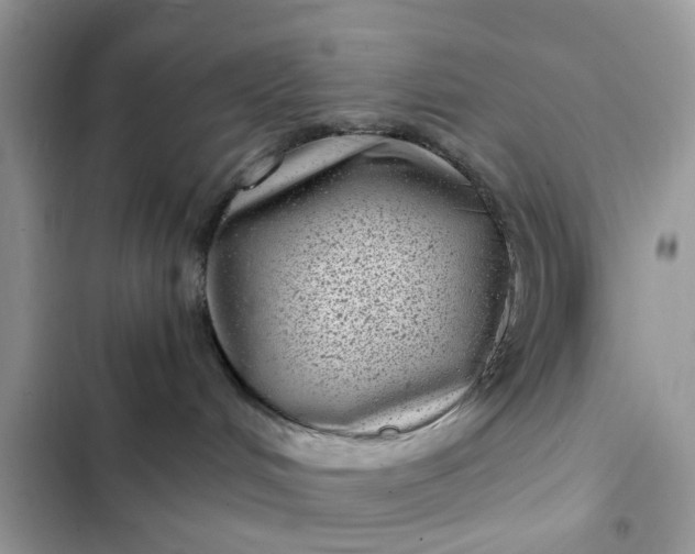 X0000102340048200808151738