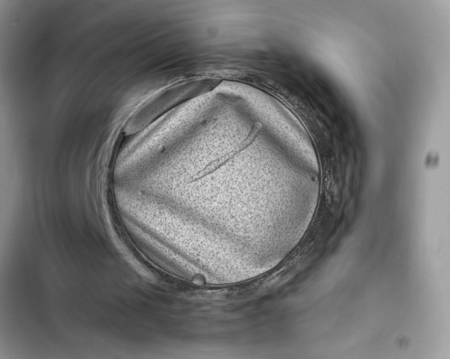 X0000102340049200808151737