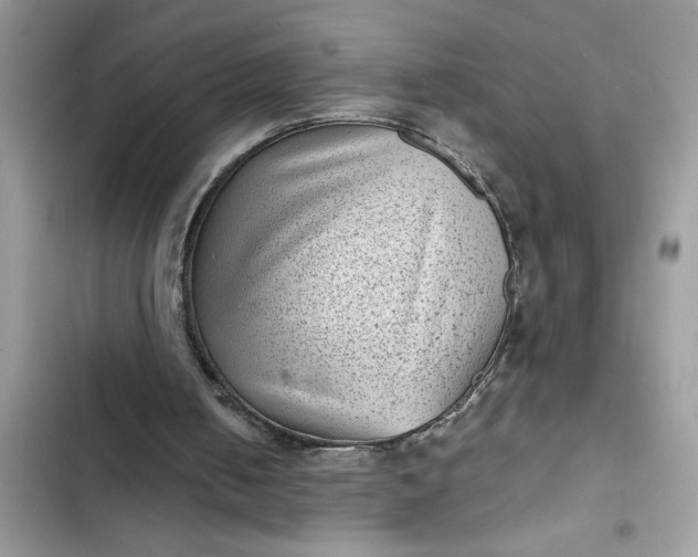 X0000102340050200808151737