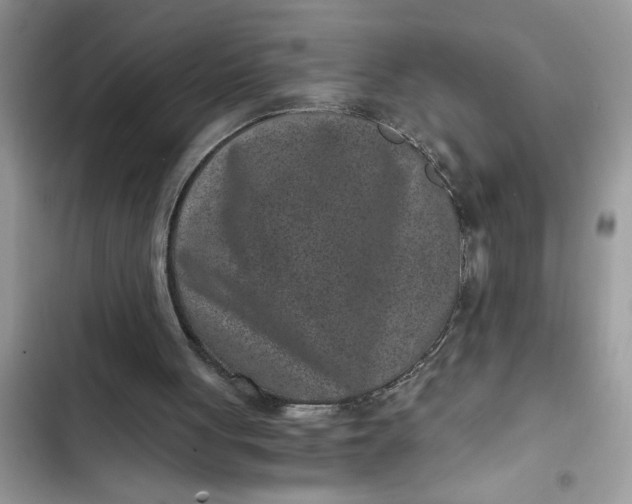 X0000102340051200808151737