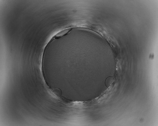 X0000102340052200808151737