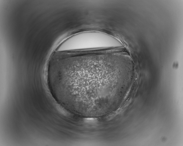 X0000102340053200808151737