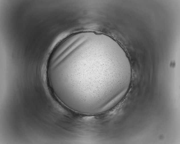 X0000102340054200808151737