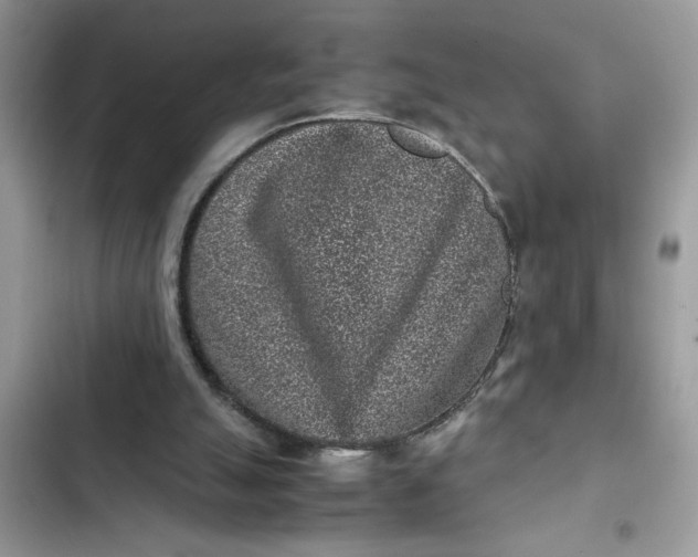 X0000102340055200808151737