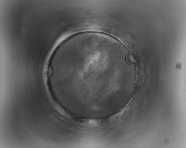 X0000102340056200808151737