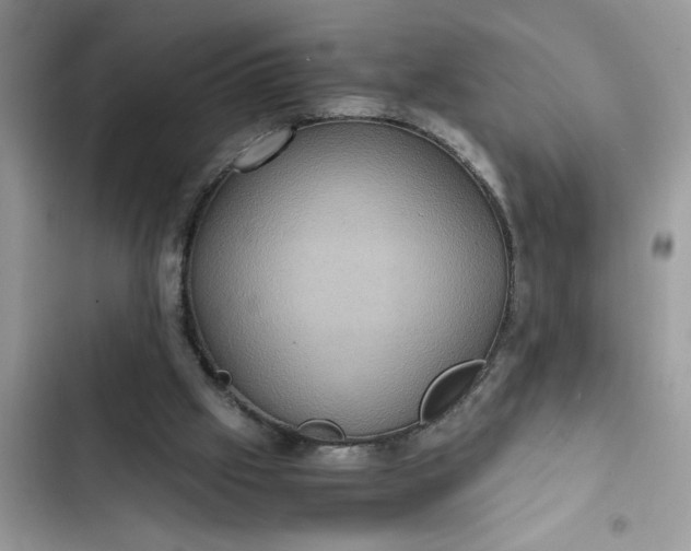 X0000102340057200808151737