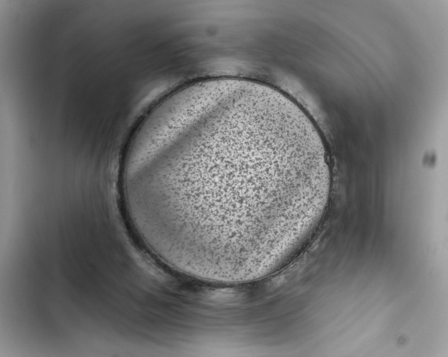 X0000102340058200808151737