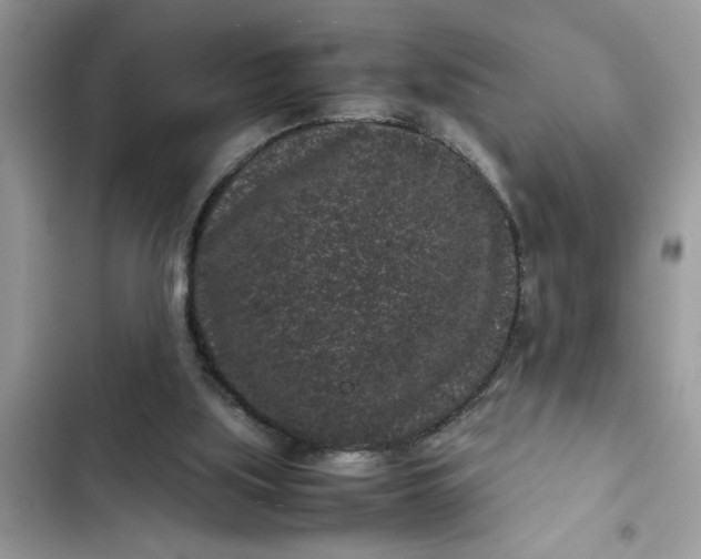 X0000102340059200808151737