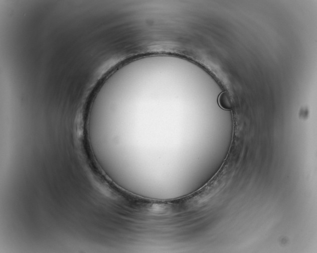 X0000102340060200808151737