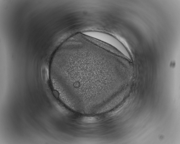 X0000102340061200808151737