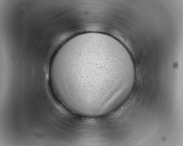 X0000102340062200808151737