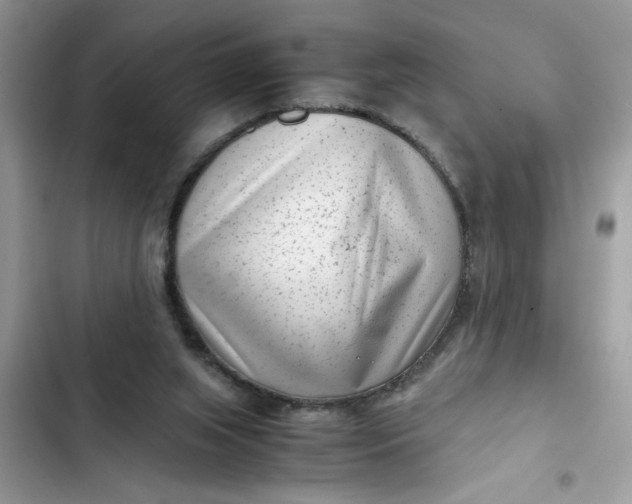 X0000102340063200808151737