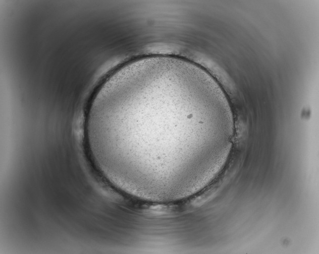 X0000102340064200808151737