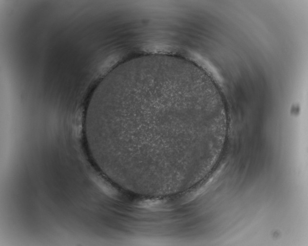 X0000102340065200808151737