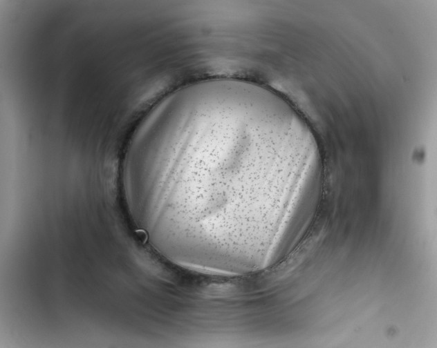 X0000102340066200808151737