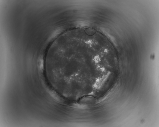 X0000102340067200808151737