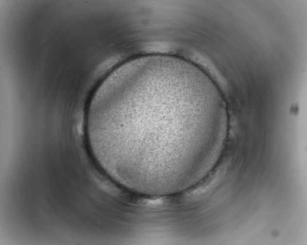 X0000102340068200808151737