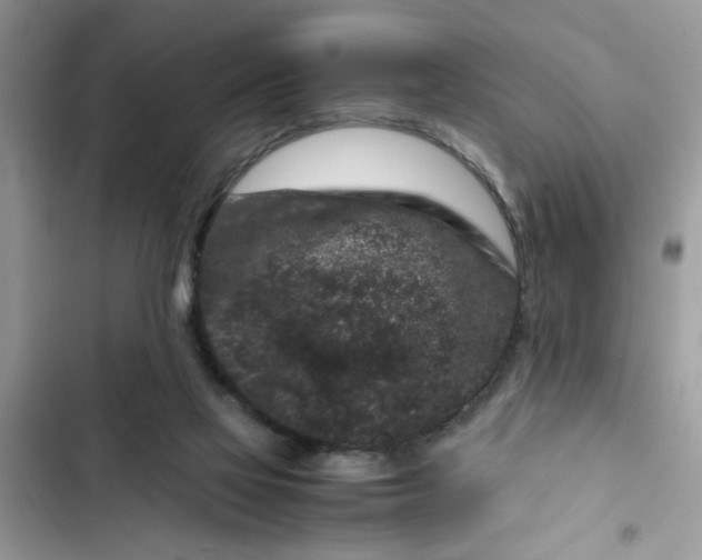 X0000102340069200808151737