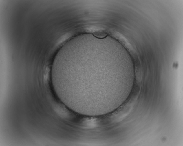 X0000102340071200808151737