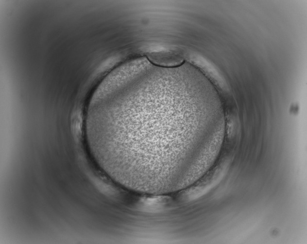 X0000102340072200808151737