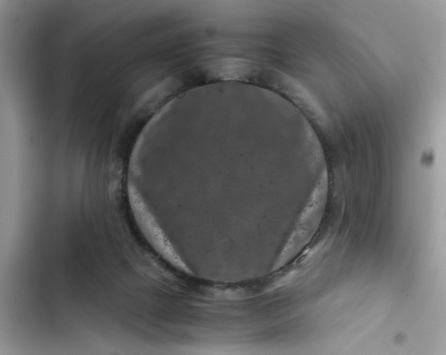 X0000102340073200808151737