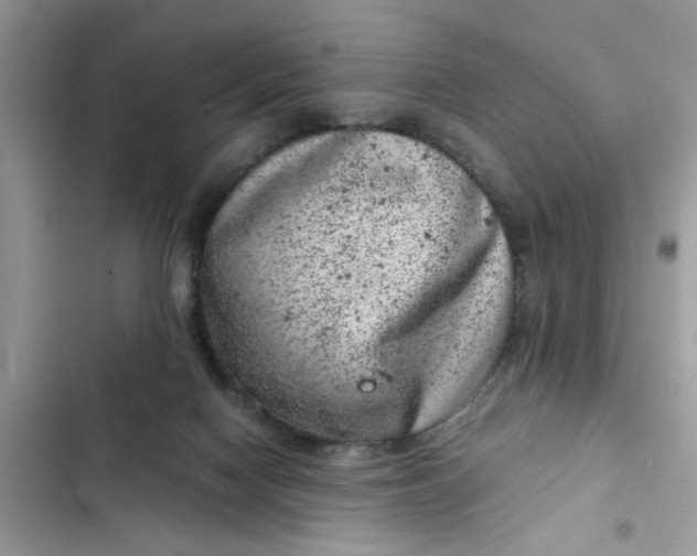 X0000102340074200808151737