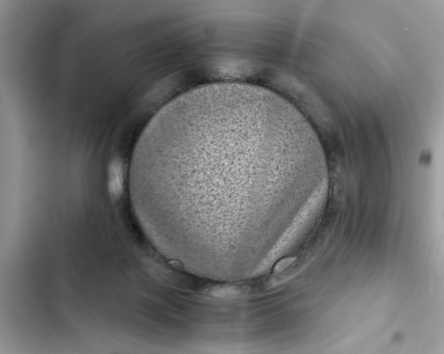 X0000102340075200808151737