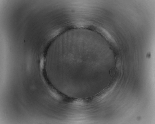 X0000102340076200808151737