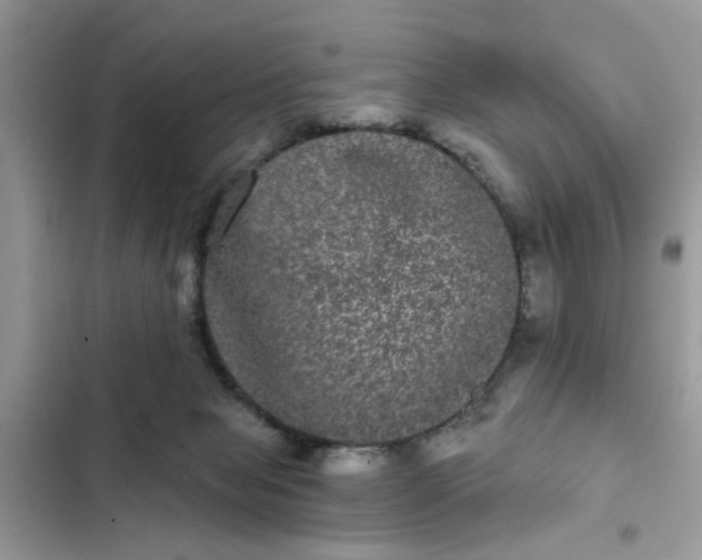 X0000102340077200808151737