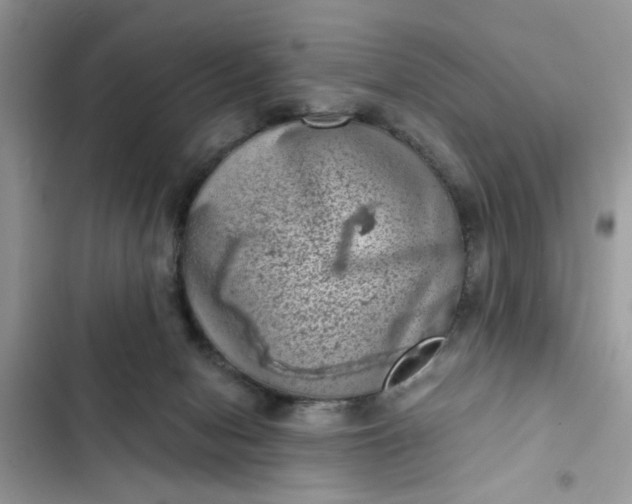 X0000102340078200808151737