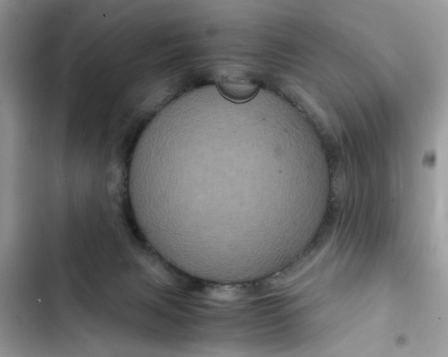 X0000102340079200808151737