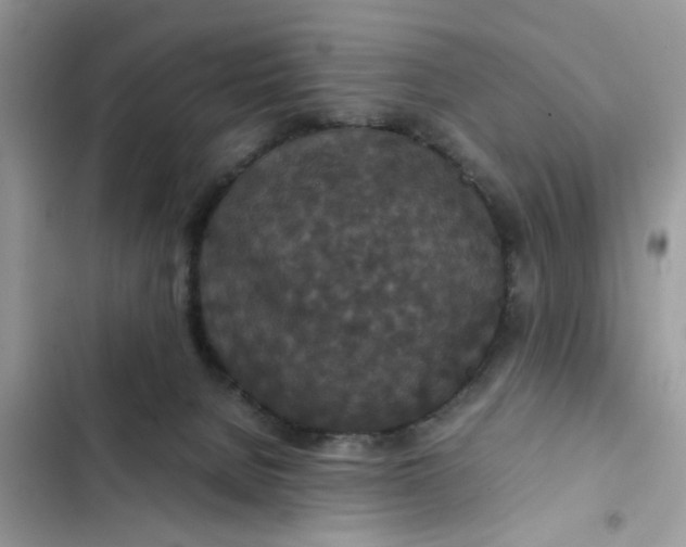 X0000102340080200808151737