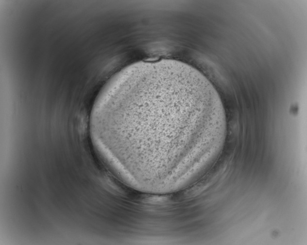 X0000102340081200808151737