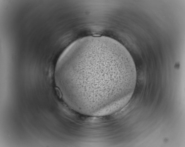 X0000102340082200808151737