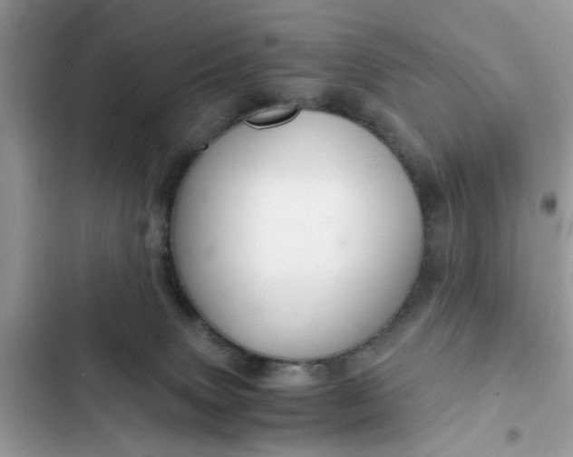 X0000102340083200808151737