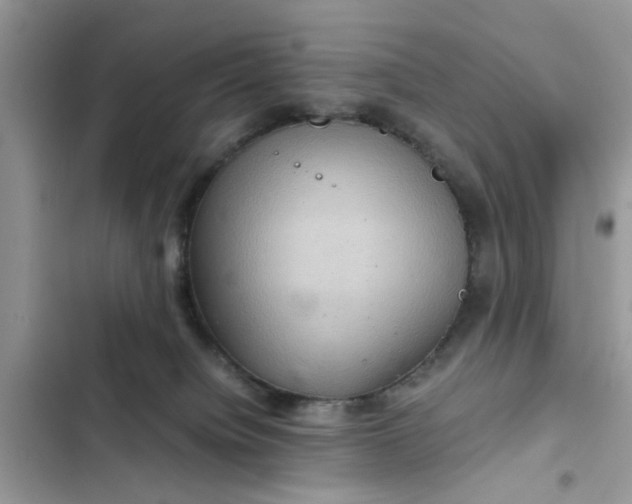 X0000102340084200808151737