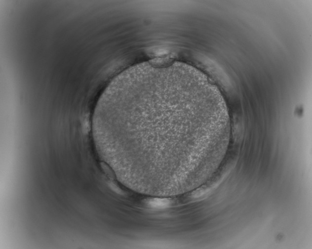 X0000102340085200808151738