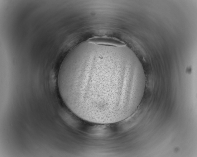 X0000102340086200808151738