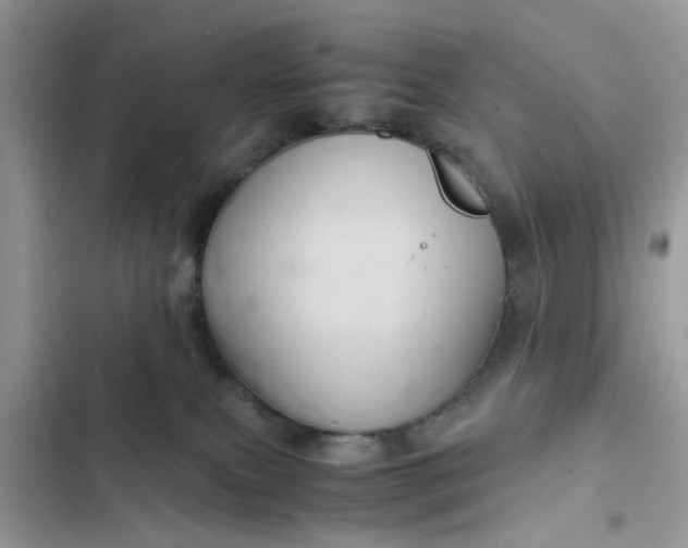 X0000102340087200808151738