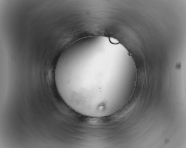 X0000102340088200808151738