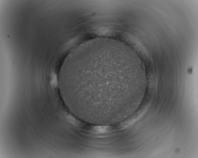 X0000102340089200808151738