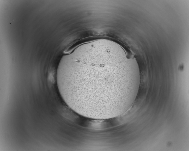 X0000102340090200808151738